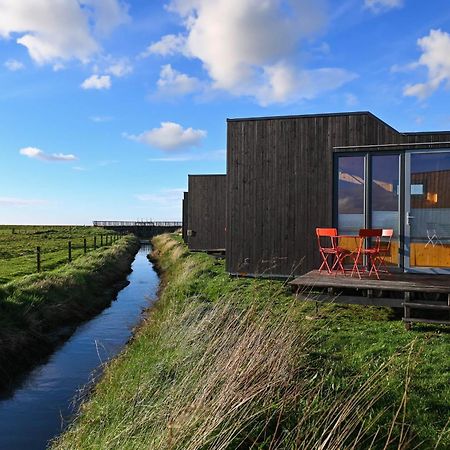 Tiny House Nature 9 Zur Kuhweide - Green Tiny Village Harlesiel 卡罗利嫩西尔 外观 照片