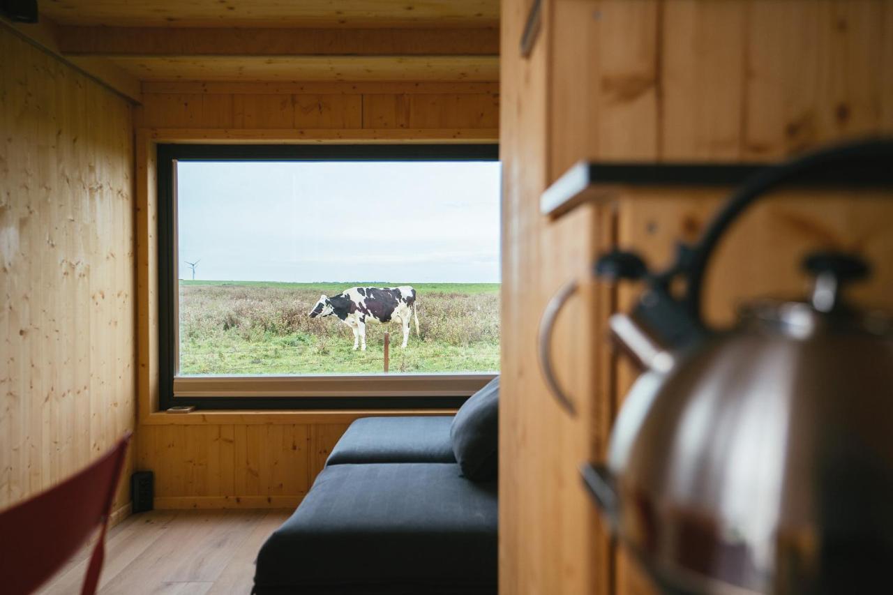 Tiny House Nature 9 Zur Kuhweide - Green Tiny Village Harlesiel 卡罗利嫩西尔 外观 照片