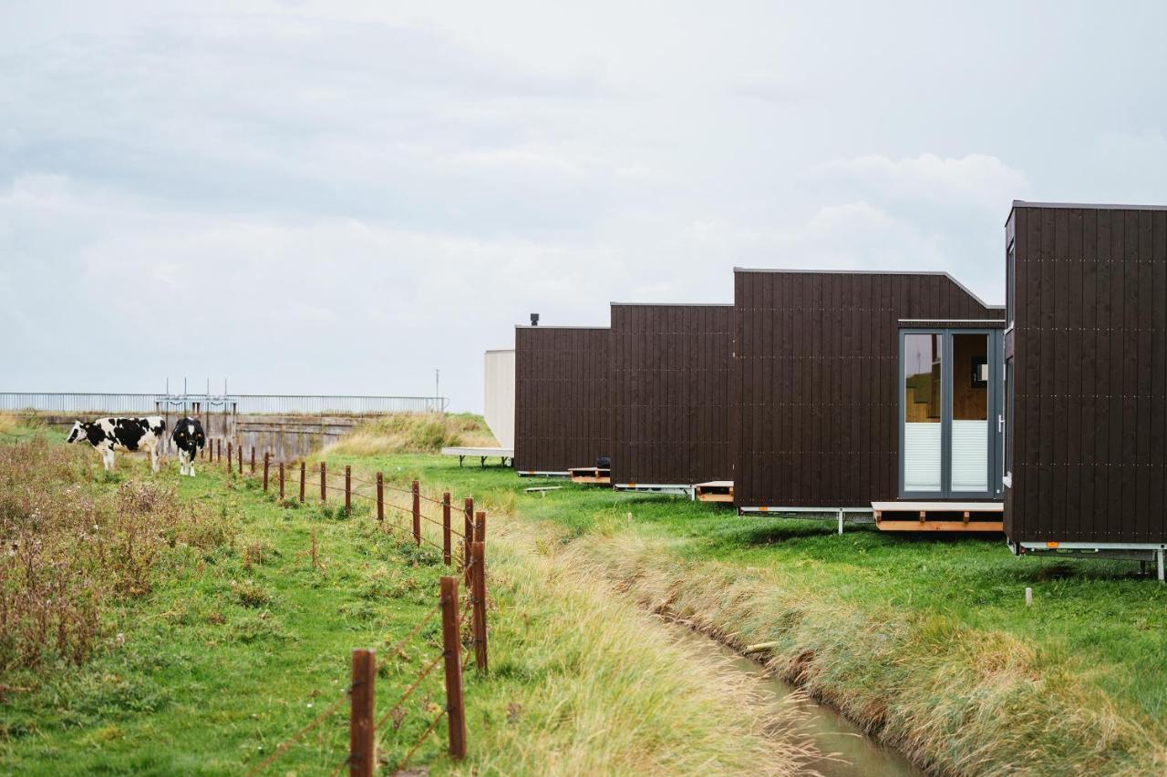 Tiny House Nature 9 Zur Kuhweide - Green Tiny Village Harlesiel 卡罗利嫩西尔 外观 照片