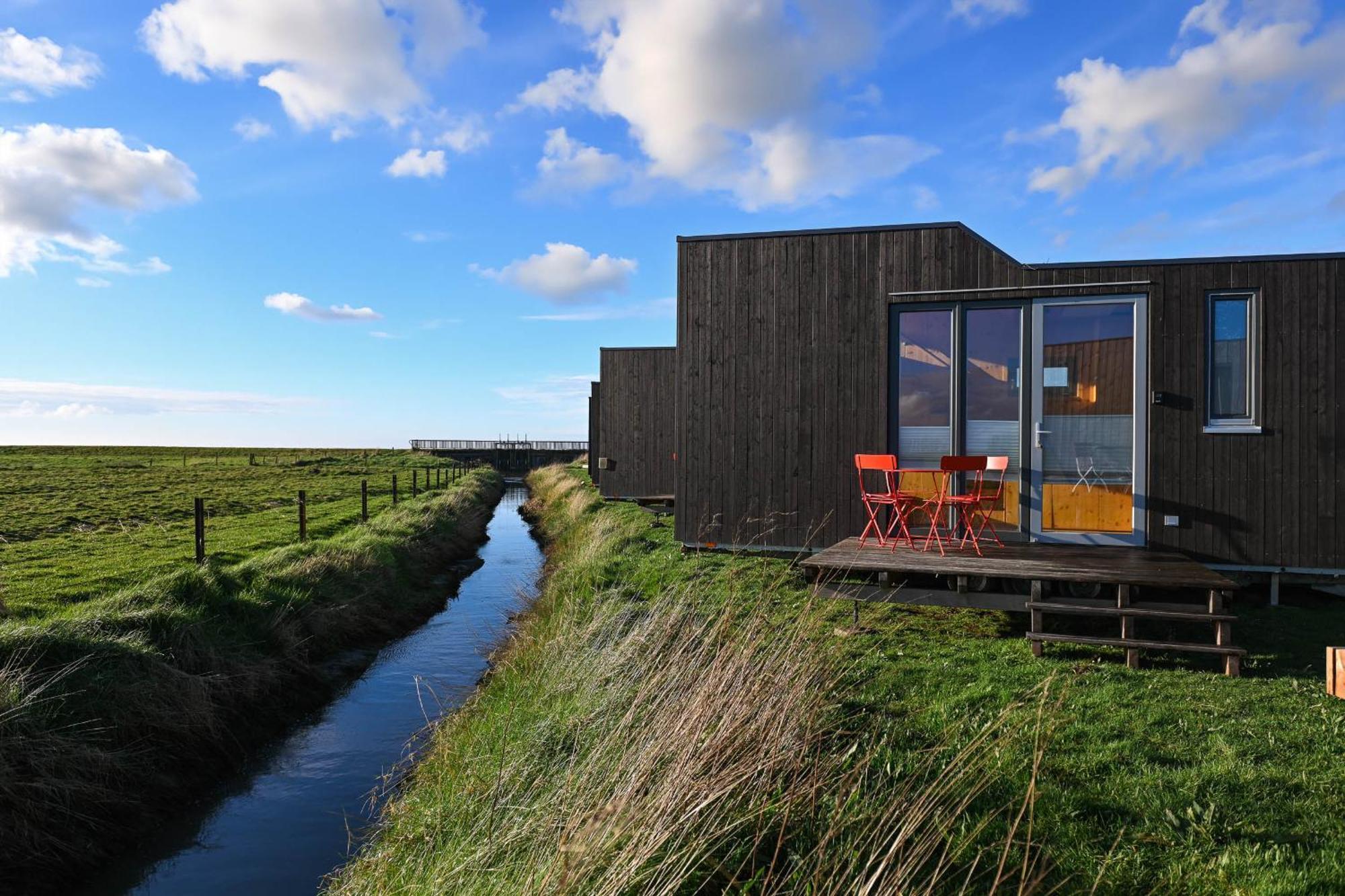 Tiny House Nature 9 Zur Kuhweide - Green Tiny Village Harlesiel 卡罗利嫩西尔 外观 照片